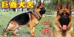 巨鑫犬舍