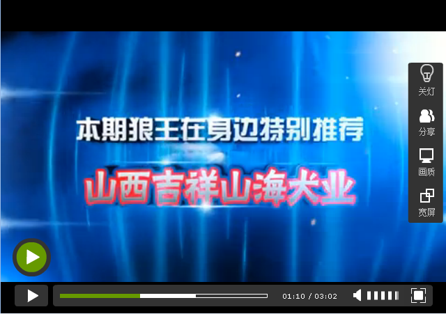 山西吉祥山海犬业-种公东方