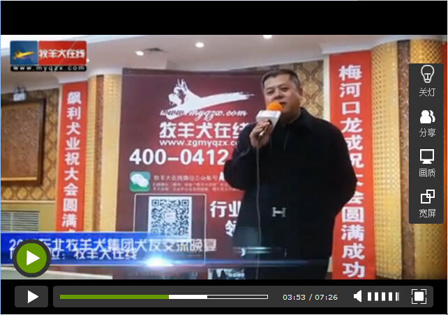 东北牧羊犬集团晚宴