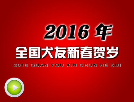 2016新春贺岁