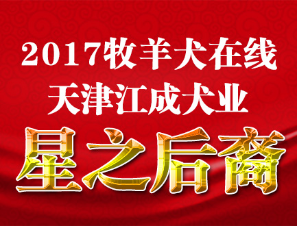 天津江成犬业