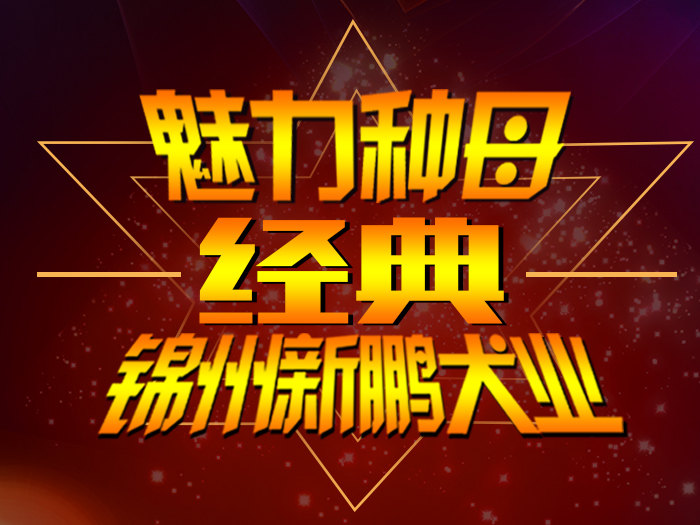 经典