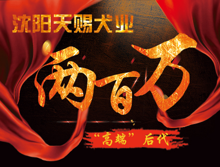 天赐二百万转会
