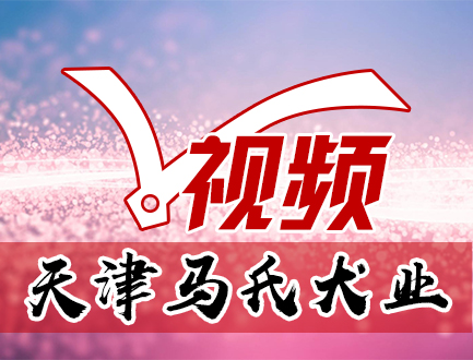 天津马氏犬业
