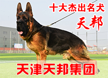 天邦