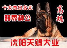 高端