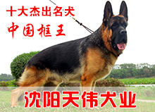 中国框王