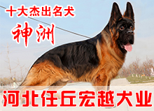 神洲