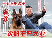 威萨