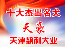 天豪