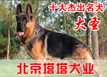 大圣