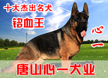 心一
