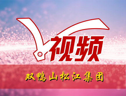 双鸭山松江集团