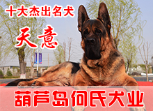 天意