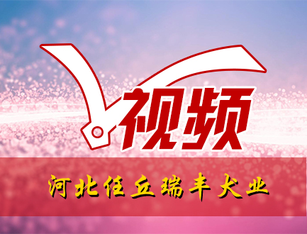 河北任丘瑞丰犬业