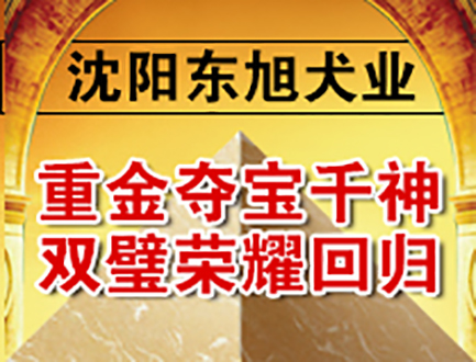沈阳东旭犬业
