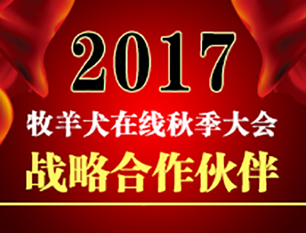 战略合作伙伴