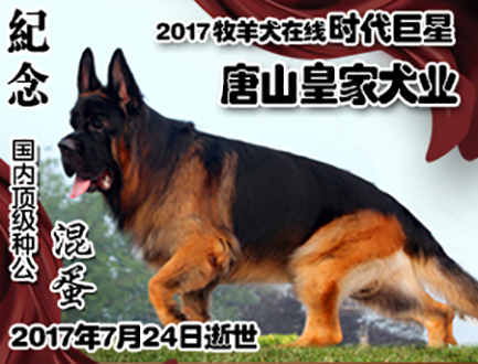纪念种公