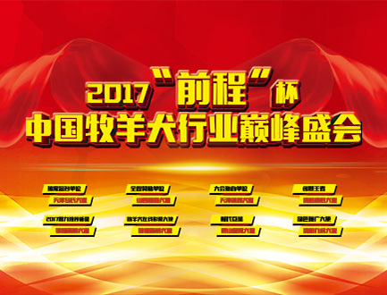2017“前程杯”