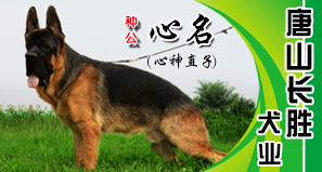 唐山长胜犬业