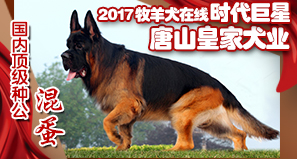 唐山皇家犬业
