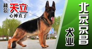 北京京昌犬业