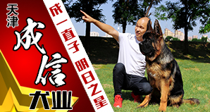 天津成信犬业