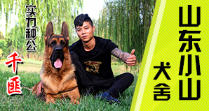 山东小山犬业