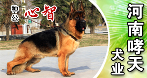 河南哮天犬业
