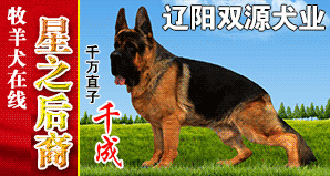 辽阳双源犬业