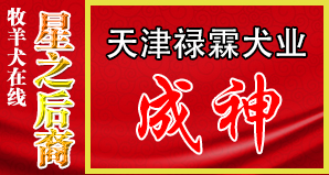天津禄霖犬业