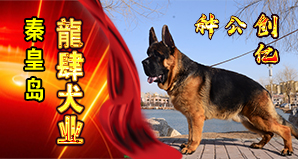 秦皇岛龍肆犬业