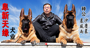 阜新天缘犬业