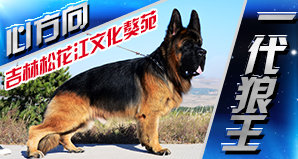 吉林松花江文化獒苑