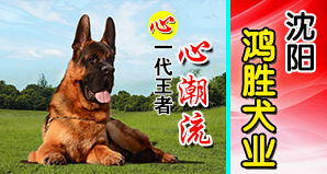 沈阳鸿胜犬业