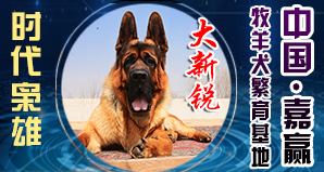 中国·嘉赢牧羊犬繁育基地
