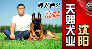沈阳天赐犬业