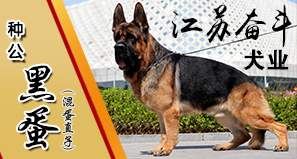 江苏奋斗犬业