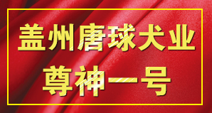 盖州唐球犬业