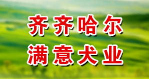 齐齐哈尔满意犬业