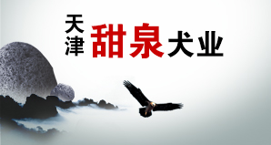 天津甜泉犬业