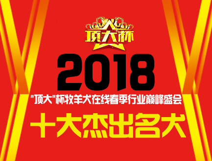 十大杰出名犬